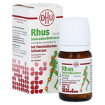 RHUS TOXICODENDRON D 6 Tabl.bei rheumat.Schmerzen – PZN 12608698