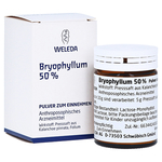 BRYOPHYLLUM 50% Pulver zum Einnehmen – PZN 2591904