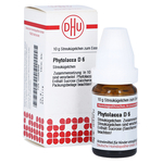 PHYTOLACCA D 6 Globuli – PZN 2890699