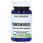 YAMSWURZEL 500 mg GPH Kapseln – PZN 3378294