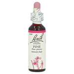Bachblüten Pine Tropfen – PZN 125925
