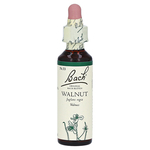 Bachblüten Walnut Tropfen – PZN 164919