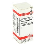 APIS MELLIFICA C 200 Globuli – PZN 2893226