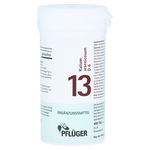 BIOCHEMIE Pflüger 13 Kalium arsenicosum D 6 Tabl. – PZN 6321320