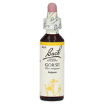 BACHBLÜTEN Gorse Tropfen – PZN 59884