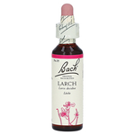 Bachblüten Larch Tropfen – PZN 64595