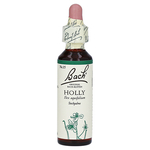 Bachblüten Holly Tropfen – PZN 59909