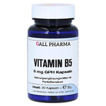VITAMIN B5 6 mg GPH Kapseln – PZN 9323265