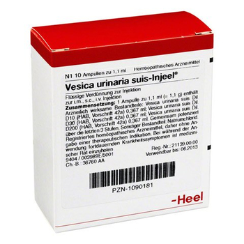 VESICA URINARIA suis-Injeel Ampullen – PZN 1090181 – PZN 1090181