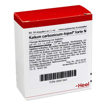 KALIUM CARBONICUM INJEEL forte N Ampullen – PZN 2581343 – PZN 2581343