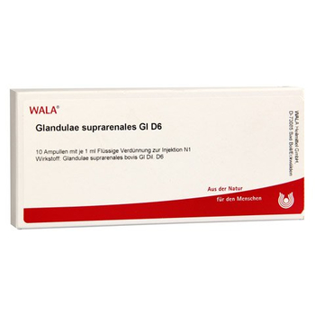 GLANDULAE SUPRARENALES GL D 6 Ampullen – PZN 2829582 – PZN 2829582