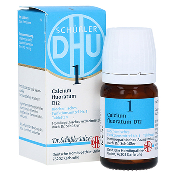 BIOCHEMIE DHU 1 Calcium fluoratum D 12 Tabletten – PZN 273809 – PZN 273809