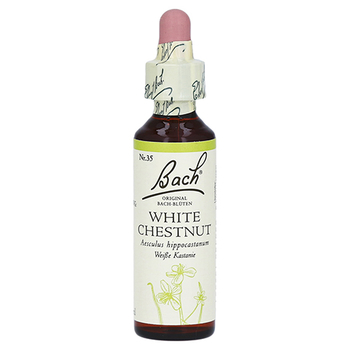 Bachblüten White Chestnut Tropfen – PZN 170104 – PZN 170104