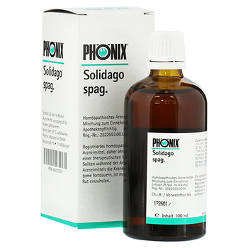 PHÖNIX SOLIDAGO spag.Mischung – PZN 4223731 – PZN 4223731