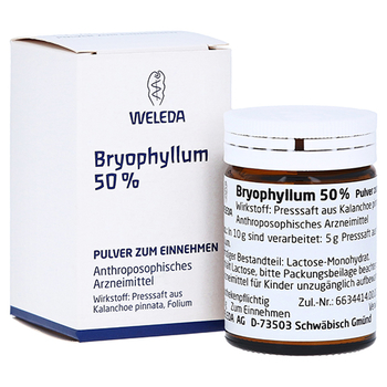 BRYOPHYLLUM 50% Pulver zum Einnehmen – PZN 2591904 – PZN 2591904