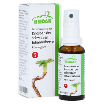 Gemmomazerat Ribes Nigrum Spray – PZN 13306226 – PZN 13306226