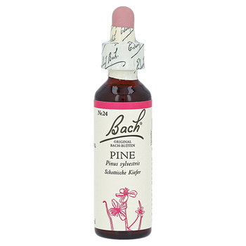 Bachblüten Pine Tropfen – PZN 125925 – PZN 125925
