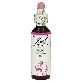 Bachblüten Elm Tropfen – PZN 53261 – PZN 53261