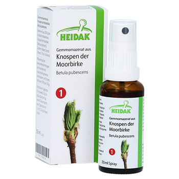 GEMMOMAZERAT Betula pubescens Spray – PZN 13306143 – PZN 13306143