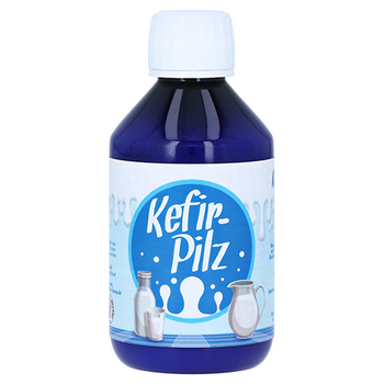 KEFIR Pilz zur Bereitung aus Milch – PZN 12426537 – PZN 12426537