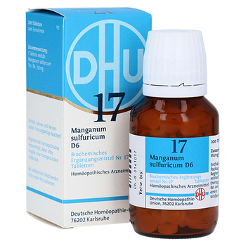 BIOCHEMIE DHU 17 Manganum sulfuricum D 6 Tabletten – PZN 2581219 – PZN 2581219