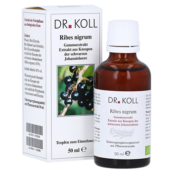 Gemmoextrakt Schwarze Johannisbeere Tropfen – PZN 9762510 – PZN 9762510
