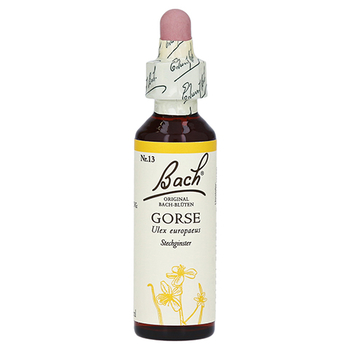 BACHBLÜTEN Gorse Tropfen – PZN 59884 – PZN 59884