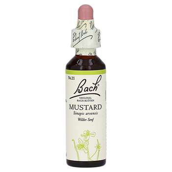 Bachblüten Mustard Tropfen – PZN 114910 – PZN 114910