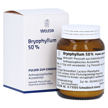 BRYOPHYLLUM 50% Pulver zum Einnehmen – PZN 1631441 – PZN 1631441
