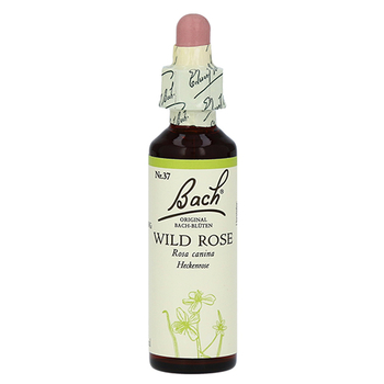 Bachblüten Wild Rose Tropfen – PZN 170127 – PZN 170127