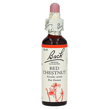 BACHBLÜTEN Red Chestnut Tropfen – PZN 146778 – PZN 146778