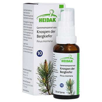 GEMMOMAZERAT Pinus montana Spray – PZN 13306203 – PZN 13306203