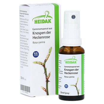 GEMMOMAZERAT Rosa canina Spray – PZN 13306232 – PZN 13306232